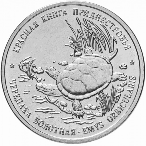 Монета 1 рубль Черепаха болотная. Красная книга. Приднестровье 2018 UNC фото 2 Монета 1 рубль Черепаха болотная. Красная книга. Приднестровье 2018 UNC фото 2