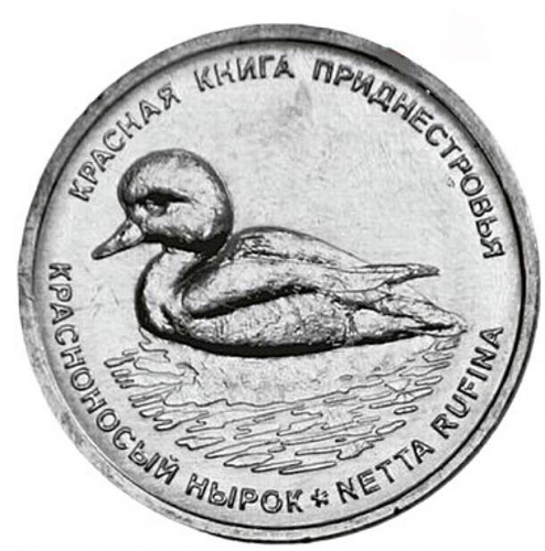 Монета 1 рубль Красноносый нырок. Красная книга. Приднестровье 2023 UNC Монета 1 рубль Красноносый нырок. Красная книга. Приднестровье 2023 UNC