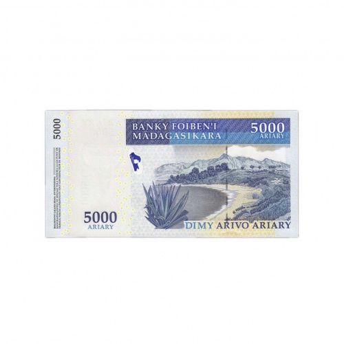 Коллекционная банкнота 5000 ариари Пятилетний план развития. Мадагаскар 2007 aUNC фото 2