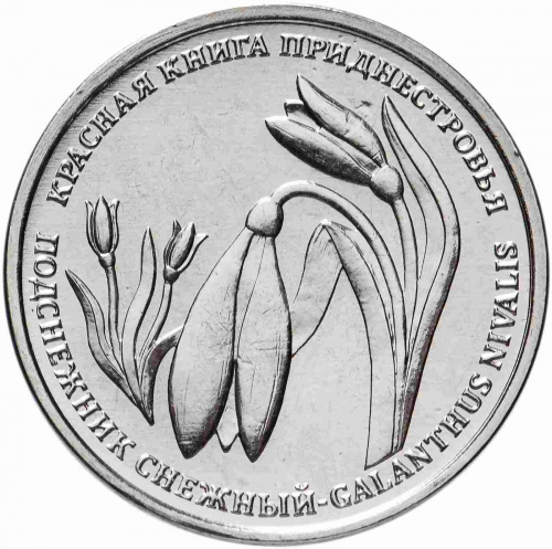 Монета 1 рубль Подснежник снежный. Красная книга. Приднестровье 2020 UNC фото 2 Монета 1 рубль Подснежник снежный. Красная книга. Приднестровье 2020 UNC фото 2