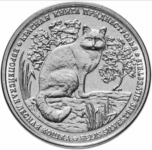 Монета 1 рубль Европейская лесная кошка. Красная книга. Приднестровье 2020 UNC фото 2 Монета 1 рубль Европейская лесная кошка. Красная книга. Приднестровье 2020 UNC фото 2