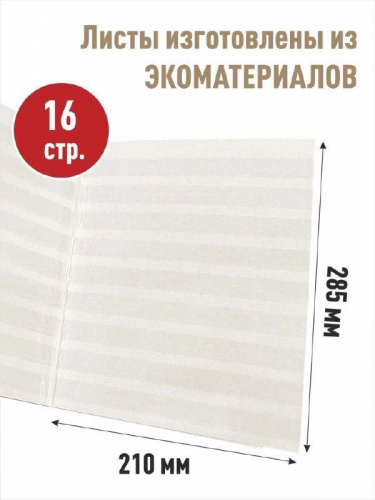 Альбом-книга для хранения марок Серия ЭКО Формат А4 Без марок (А-М_А4_ЭКО-ОТКР) фото 5 Альбом-книга для хранения марок Серия ЭКО Формат А4 Без марок (А-М_А4_ЭКО-ОТКР) фото 5