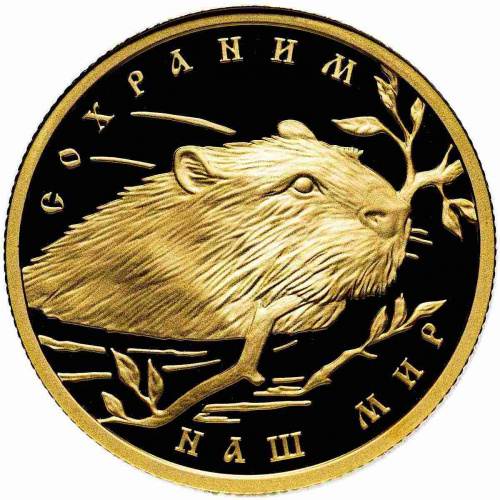 Монета 50 рублей Речной бобр. Сохраним наш мир. ММД 2008 PF