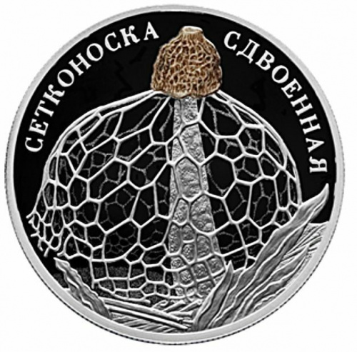 Серебряная монета 2 рубля в капсуле Сетконоска сдвоенная. Красная Книга. СПМД, 2022 г. в. Proof фото 3 Серебряная монета 2 рубля в капсуле Сетконоска сдвоенная. Красная Книга. СПМД, 2022 г. в. Proof фото 3