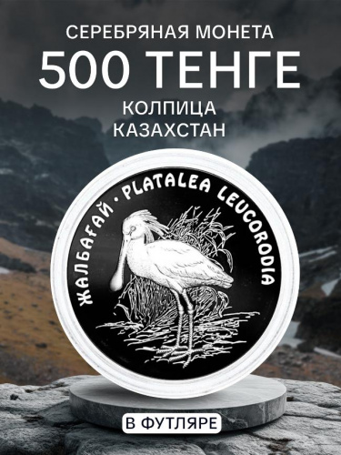 Серебряная монета (24 г) в футляре 500 тенге Колпица. Красная Книга. Казахстан 2007 PF Серебряная монета (24 г) в футляре 500 тенге Колпица. Красная Книга. Казахстан 2007 PF