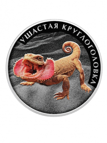 Набор их 3 монет 2 рубля Красная книга 2026: Кавказская лесная кошка, Очковая гага, Ушастая круглоголовка фото 5 Набор их 3 монет 2 рубля Красная книга 2026: Кавказская лесная кошка, Очковая гага, Ушастая круглоголовка фото 5