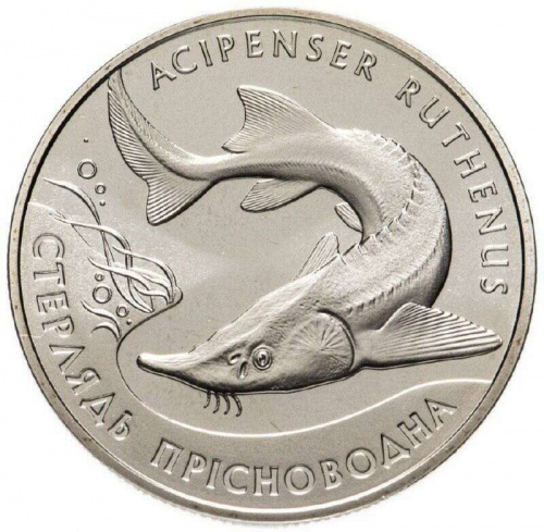 Памятная монета 2 гривны стерлядь пресноводная. Украина, 2012 г. в. Proof
