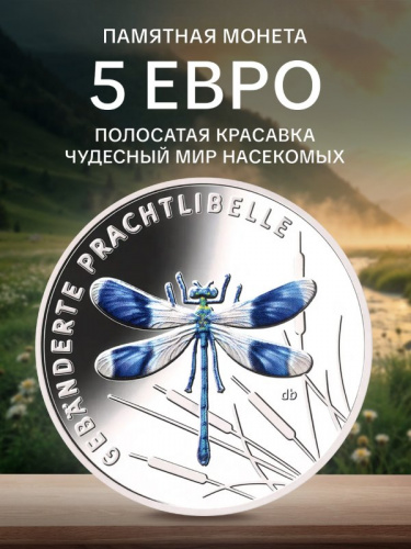 Монета 5 евро Полосатая красавка. Чудесный мир насекомых. Германия 2023 UNC Монета 5 евро Полосатая красавка. Чудесный мир насекомых. Германия 2023 UNC