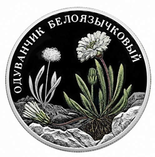 Серебряная монета 2 рубля в капсуле Одуванчик белоязычковый. Красная Книга. СПМД, 2022 г. в. Proof фото 3 Серебряная монета 2 рубля в капсуле Одуванчик белоязычковый. Красная Книга. СПМД, 2022 г. в. Proof фото 3