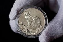 Серебряная монета 3 рубля 925 пробы в капсуле  Соболь, ЛМД, Россия, 1995 г. в. Монета в состоянии UNC (из мешка)