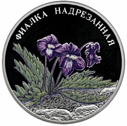 Серебряная монета 2 рубля в капсуле Фиалка надрезанная. Красная Книга. СПМД, 2022 г. в. Proof фото 3