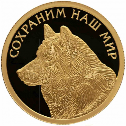 Монета 50 рублей Полярный волк. Сохраним наш мир. СПМД 2020 PF