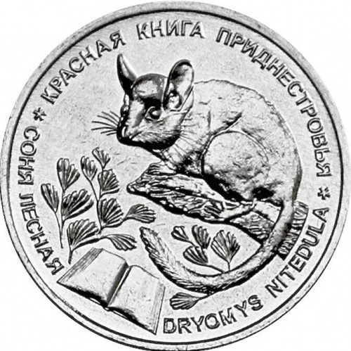 Монета 1 рубль Соня лесная. Красная книга. Приднестровье 2023 UNC Монета 1 рубль Соня лесная. Красная книга. Приднестровье 2023 UNC