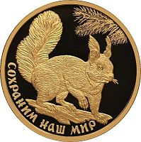 Золотая монета 999 пробы (15.55 г) 100 рублей в капсуле Сохраним наш мир. Белка обыкновенная. Россия СПМД 2023 Proof
