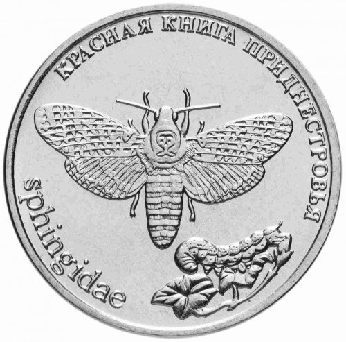 Монета 1 рубль Бабочка Адамова голова. Красная книга. Приднестровье 2018 UNC фото 2 Монета 1 рубль Бабочка Адамова голова. Красная книга. Приднестровье 2018 UNC фото 2