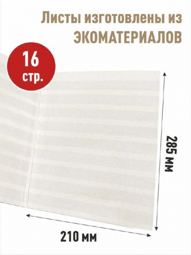 Альбом-книга для хранения марок. Серия ЭКО. Формат А4. Без марок (А-М_А4_ЭКО-КОР) фото 4 Альбом-книга для хранения марок. Серия ЭКО. Формат А4. Без марок (А-М_А4_ЭКО-КОР) фото 4