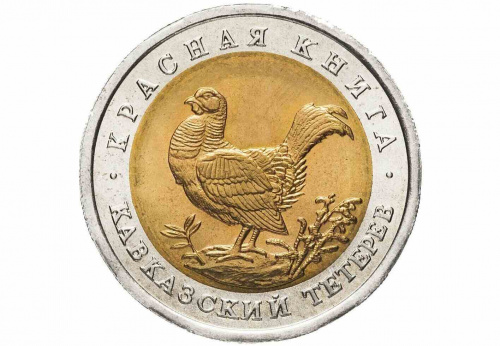 Монета 50 рублей Кавказский тетерев. Красная книга. Россия 1993 UNС фото 2 Монета 50 рублей Кавказский тетерев. Красная книга. Россия 1993 UNС фото 2